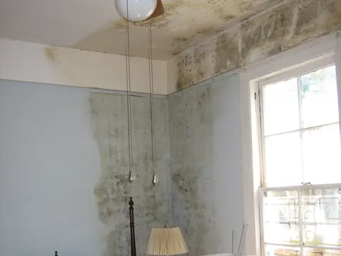 Dark mold spreading over the walls and ceiling of a bedroom after a flood